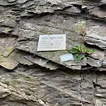דירה Berg Blick Eifler Modern Restauriert