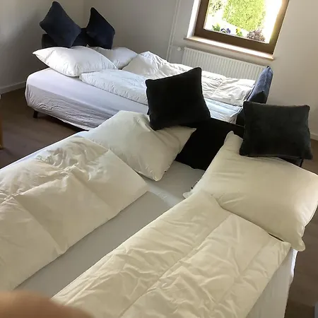 Berg Blick Eifler Modern Restauriert شقة