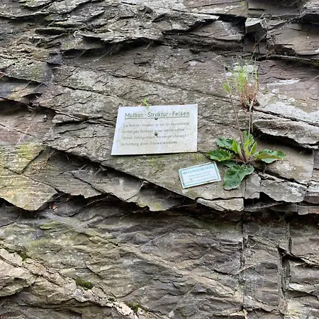 شقة Berg Blick Eifler Modern Restauriert