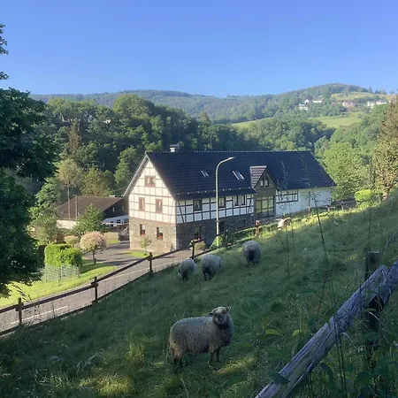 Berg Blick Eifler Modern Restauriert Apartment *
