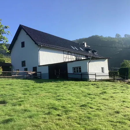Berg Blick Eifler