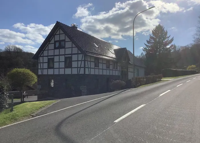 Berg Blick Eifler Modern Restauriert Daire *