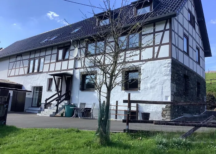 Berg Blick Eifler Modern Restauriert Daire