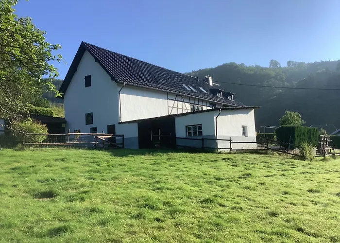 Berg Blick Eifler Modern Restauriert