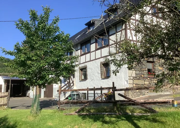 Berg Blick Eifler Modern Restauriert Daire *