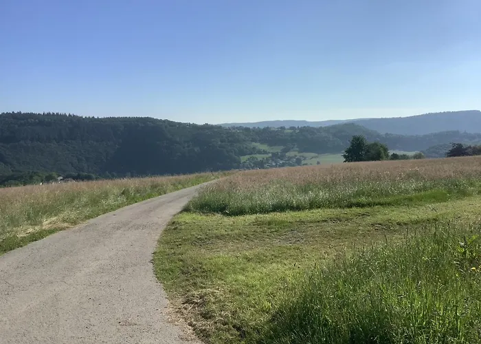 Berg Blick Eifler Modern Restauriert דירה